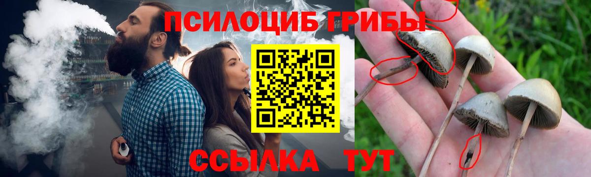 магазин продажи наркотиков  Вход с VPN  Клин  Галлюциногенные грибы MAGIC MUSHROOMS 